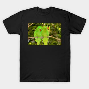 Scaly-breasted Lorikeets T-Shirt